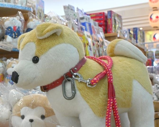 秋田空港は北東北の観光に便利！ かわいい「秋田犬」のグッズや撮影スポットも 【日本全国「空港」ガイド Vol.3】