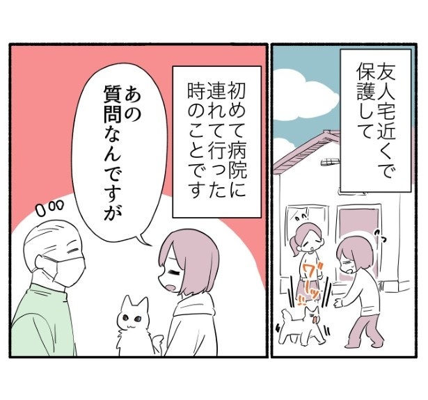 飼い猫の年齢がわからない話_p02