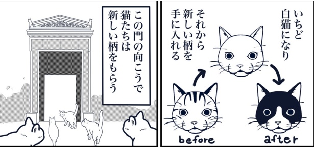 死んだ猫は、生まれ変わるために真白い柄に戻る