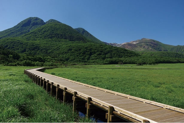 「タデ原湿原」では1周約2.5kmのコースを用意。湿原や森林にはホオジロやセッカなどの野鳥もいる
