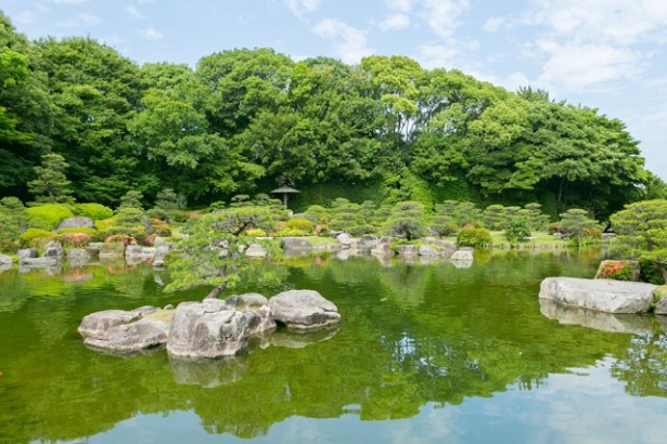 本格的な茶会や文化的な集いにも利用される伝統的な日本庭園