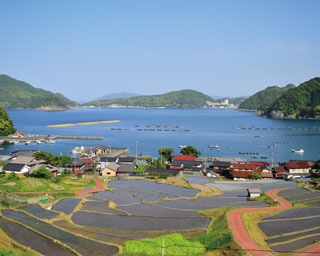 約200枚の水田がきれい！ 四季折々に美しい、空と海×棚田の共演(福井「日引の棚田」)