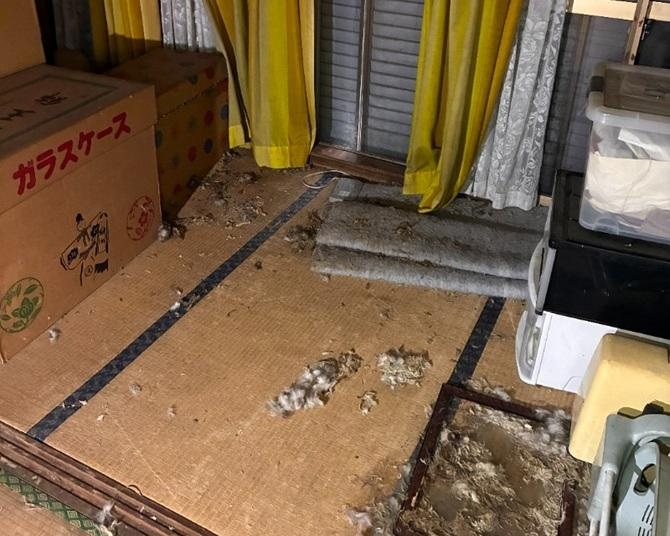 家にクマ…!?空き巣に放火…!?空き家問題が深刻な理由を調査！