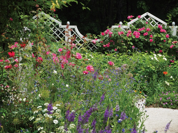 オーナーのケイ山田さんがデザインした英国式のガーデン。バラと宿根草が織り成す景観が美しい