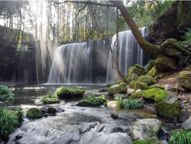  【写真を見る】「鍋ヶ滝」の眺めもさることながら、心地よい木漏れ日と青々と茂る自然に包まれた好ロケーション 