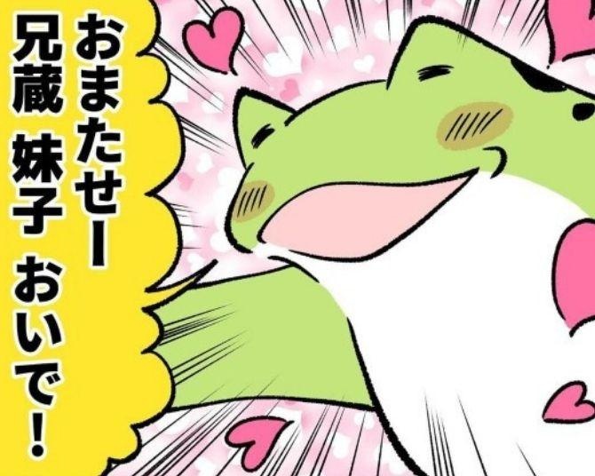 「おかえりー!!」帰宅直後の熱烈歓迎はどこに？数十秒後には「スン…」柴犬たちの愛は急速冷凍