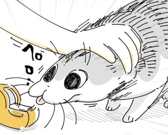 猫の前で工作は危険？「セロテープ舐めるよね」てるてる坊主作りを妨害する愛猫の無邪気な姿に共感