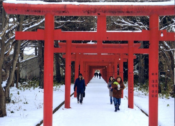 京都の伏見稲荷神社と同様、赤い鳥居が幾重にも連なっている