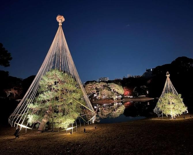 秋の東京で幻想的な夜散歩！浜離宮・小石川後楽園・六義園で夜間特別開園を開催