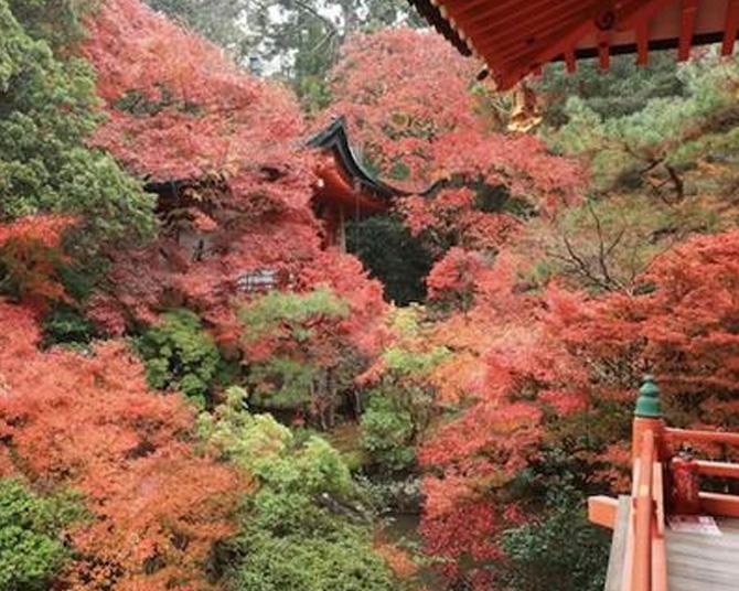 「そうだ 京都、行こう。」2026年秋の特別拝観＆ライトアップがスタート！京都の紅葉名所も事前予約でスムーズに