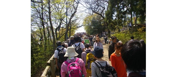 昼過ぎ、頂上への道はこの行列