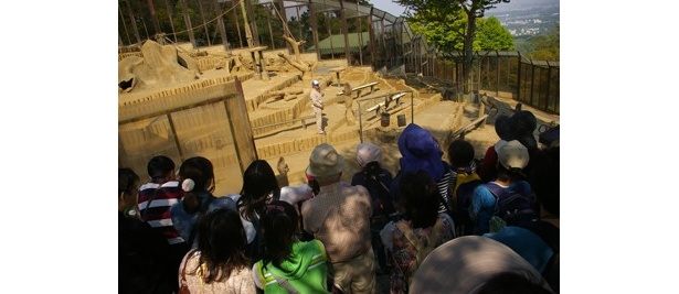 高尾山さる園・野草園も混雑。スタッフとサルのやり取りで客が沸いていた