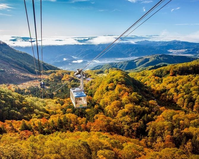 今週末(10月3・4日)の紅葉見頃はここ！まもなく見頃を迎えそうな全国の紅葉名所ガイド