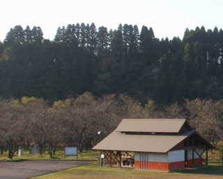 アウトドアを堪能！富山県の人気おでかけスポット5選