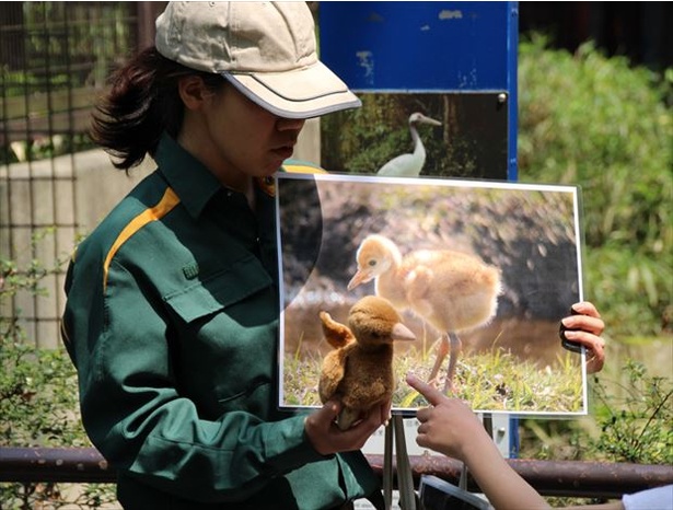 横浜市金沢動物園では飼育員による動物ガイドも開催