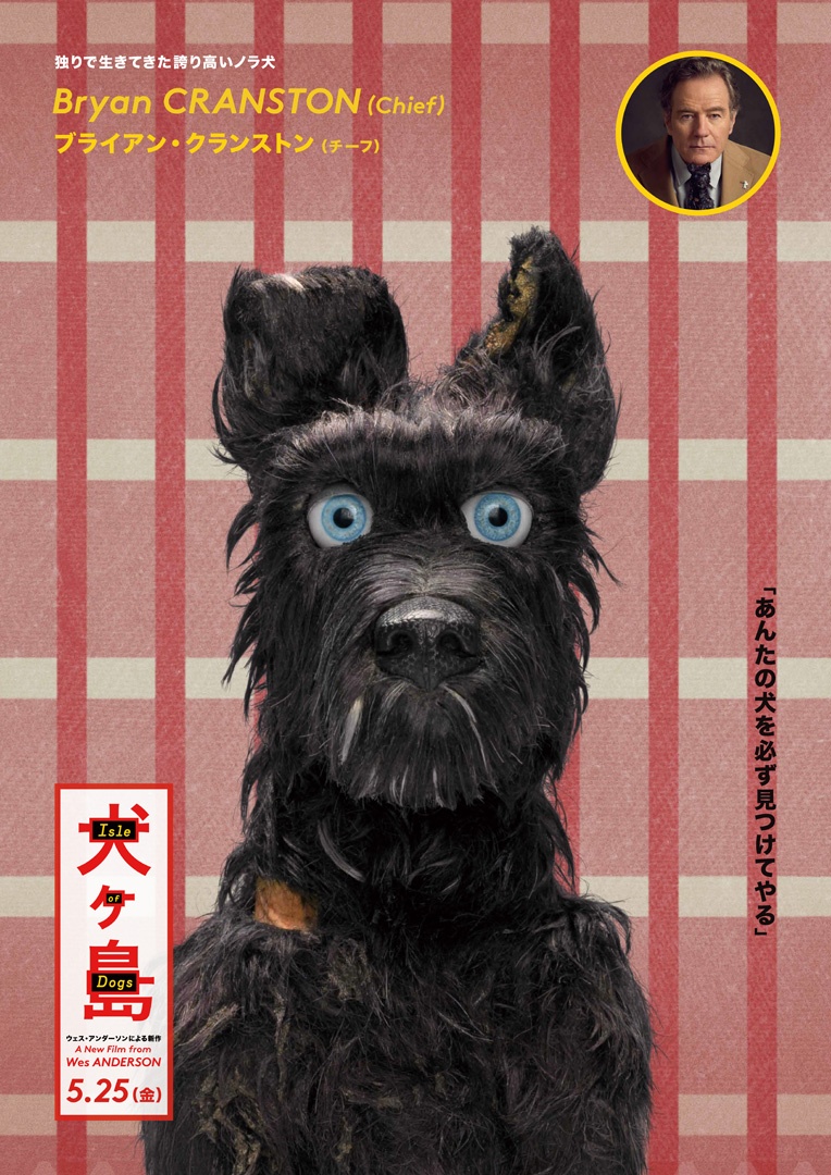 なかなかアタリに従わない誇り高きノラ犬・チーフ