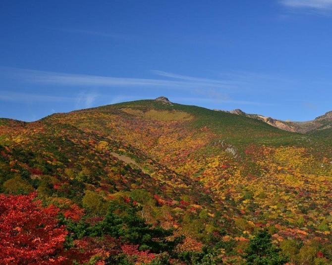 今週末(10月17・18日)の紅葉見頃はここ！見頃を迎えそうな全国の紅葉名所ガイド