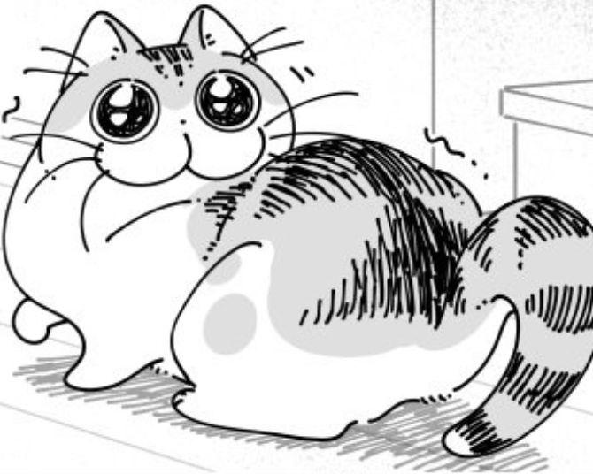 飼い主を見て目をキラキラさせる愛猫!?その後の展開に「1歳半の猫もよくやってます」などの共感コメント続出