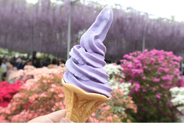 藤ソフト(400円)