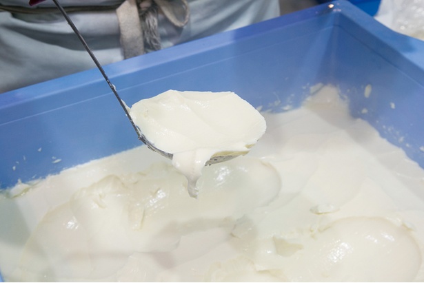 大豆や甘味や旨味がギッシリ詰まった絶品豆腐！