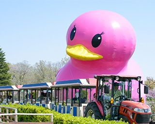 ビル5階建て分のアヒルが出没!?GWは那須りんどう湖レイクビューで遊びつくそう