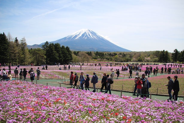 「展望カフェ」のテラス席から見える景色