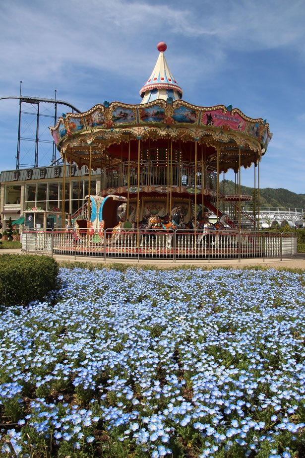 2層式のメリーゴーラウンドをバックに、ブルーの花々が咲くメルヘンチックな光景も