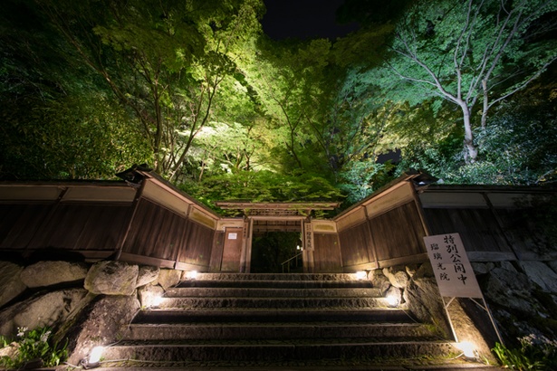 威厳のある佇まいの山門