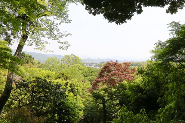 仁王門を抜け石段を登ったところにある「嵯峨野展望」からの眺め