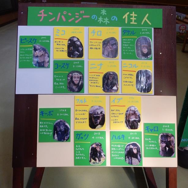 旭山動物園/個体の名前や特徴を書いた手書き看板が置かれている