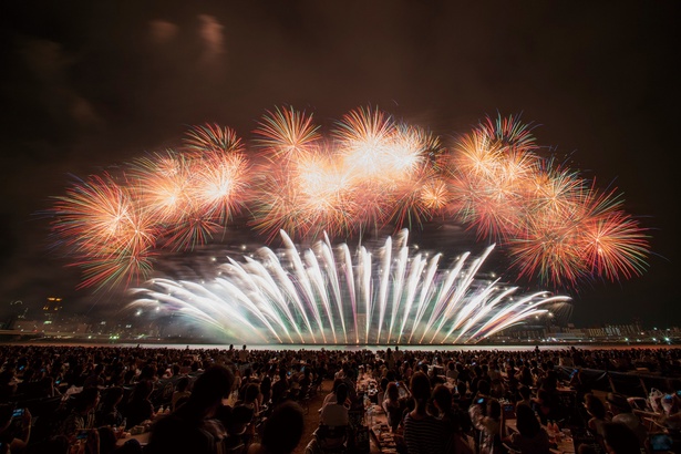 夏の夜空を彩る花火は圧巻