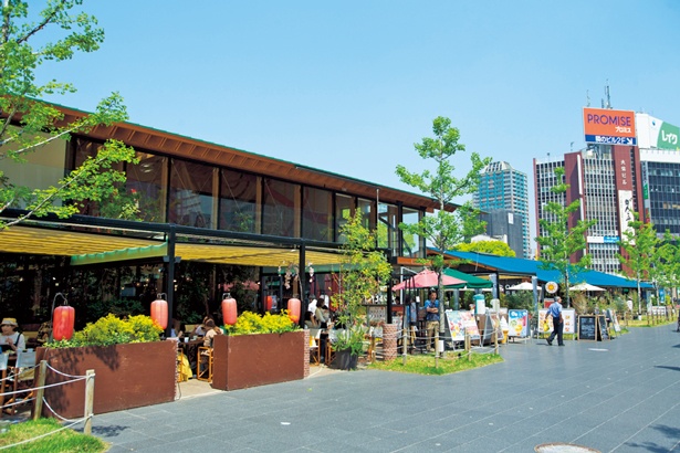 芝生広場を中心に、周囲に木造・低層の店舗を連続的に設置することで回遊性を高めている 