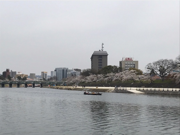 岡崎城の横には、伊賀川と乙川という2つの川が流れています。こちらは乙川