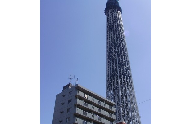 迫力があります