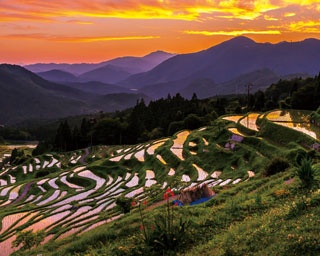 規模は国内最大級！時間を忘れる癒しの絶景「丸山千枚田」