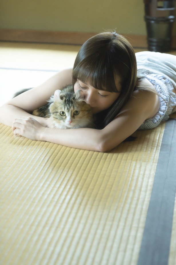 愛猫“ぴあ”とのカットも