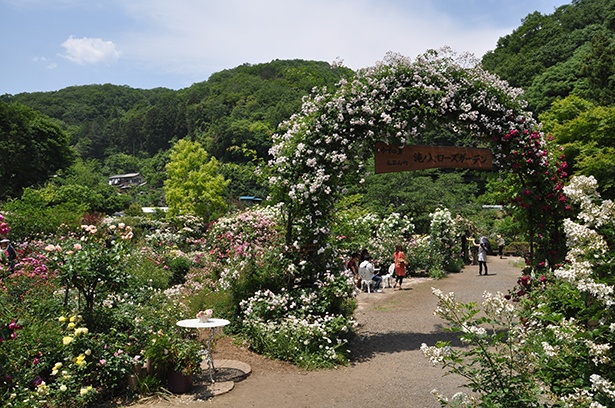 園内の様子