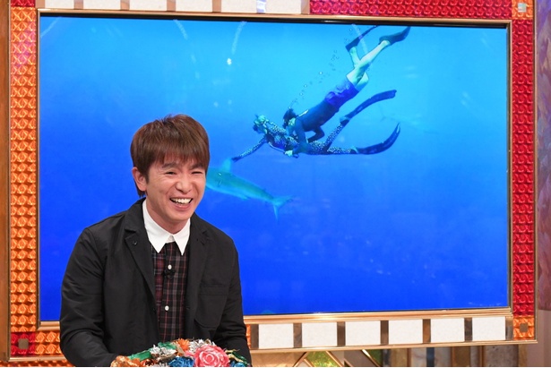 濱口優は、ハワイでホオジロザメと一緒に泳ぐという危険なミッションにチャレンジ