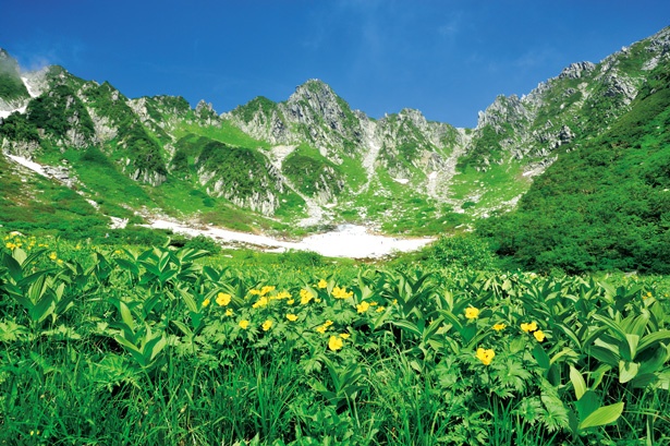 【写真を見る】短い夏を謳歌するように、美しい高山植物が花をつける。遊歩道からの眺めも抜群
