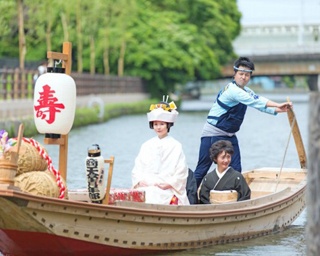 初夏の訪れを告げる伝統の祭典！水郷潮来あやめまつり開催