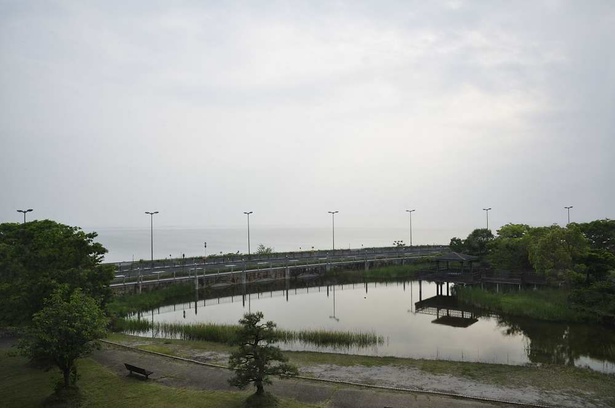 部屋の窓から琵琶湖を望む。裏には公園があり、愛犬との散歩にも好適