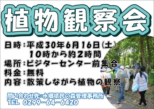 茨城・水郷県民の森で植物観察会｜ウォーカープラス