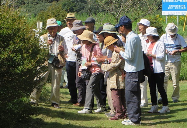 茨城・水郷県民の森で植物観察会｜ウォーカープラス