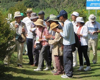 茨城・水郷県民の森で植物観察会