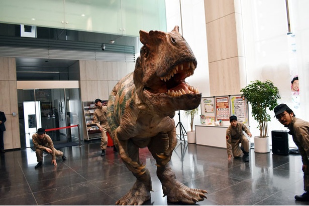 「世界一受けたい授業　THE LIVE 恐竜に会える夏！」のプロモーションで福岡に現れた肉食恐竜のアロサウルス