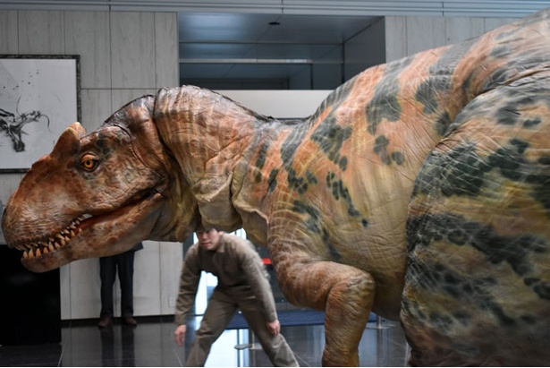 「世界一受けたい授業　THE LIVE 恐竜に会える夏！」のプロモーションで福岡に現れた肉食恐竜のアロサウルス