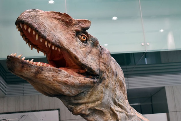 画像12 17 福岡に恐竜が出現 前代未聞のキャンペーン告知にテレビ局が悲鳴に包まれた ウォーカープラス
