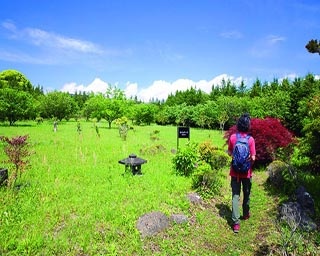 森林セラピーロードやパワースポットがある新施設｢ビオトピア｣のハイキングコースを歩いて癒されよう！
