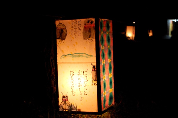 小塩川の沿道に飾られるホタル灯籠。温かな光に誘われ、より多くのホタルが集まる