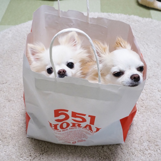 大阪みやげに「551蓬莱の豚まん」もらったんよ～